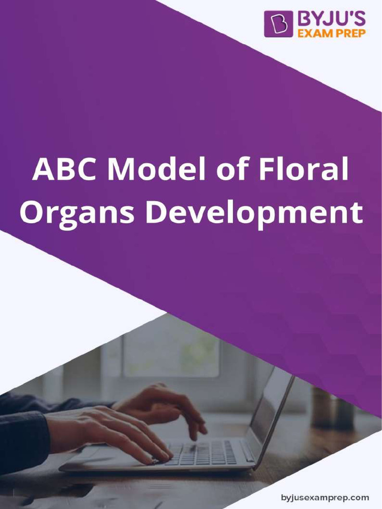 ABC Model of Floral Development Explained | PDF | Flowers | Life Sciences