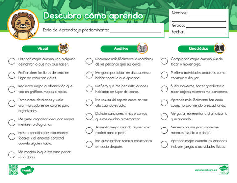 Estilos de Aprendizaje: Visual, Auditivo y Kinestésico | PDF