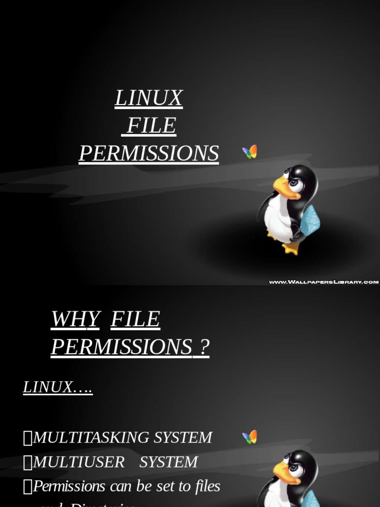 Understanding Linux File Permissions | PDF