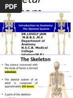 Understanding the Human Skeletal System | PDF | Bone | Skeleton