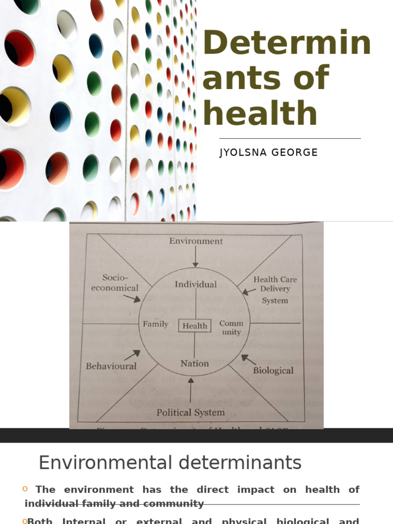 Key Determinants of Health Explained | PDF | Health Care