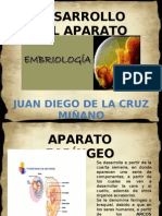 Aparatofarngeo 110113225653 Phpapp01