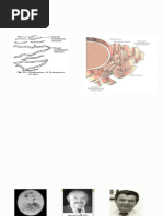 SER vs RER: Functions and Differences | PDF | Endoplasmic Reticulum ...