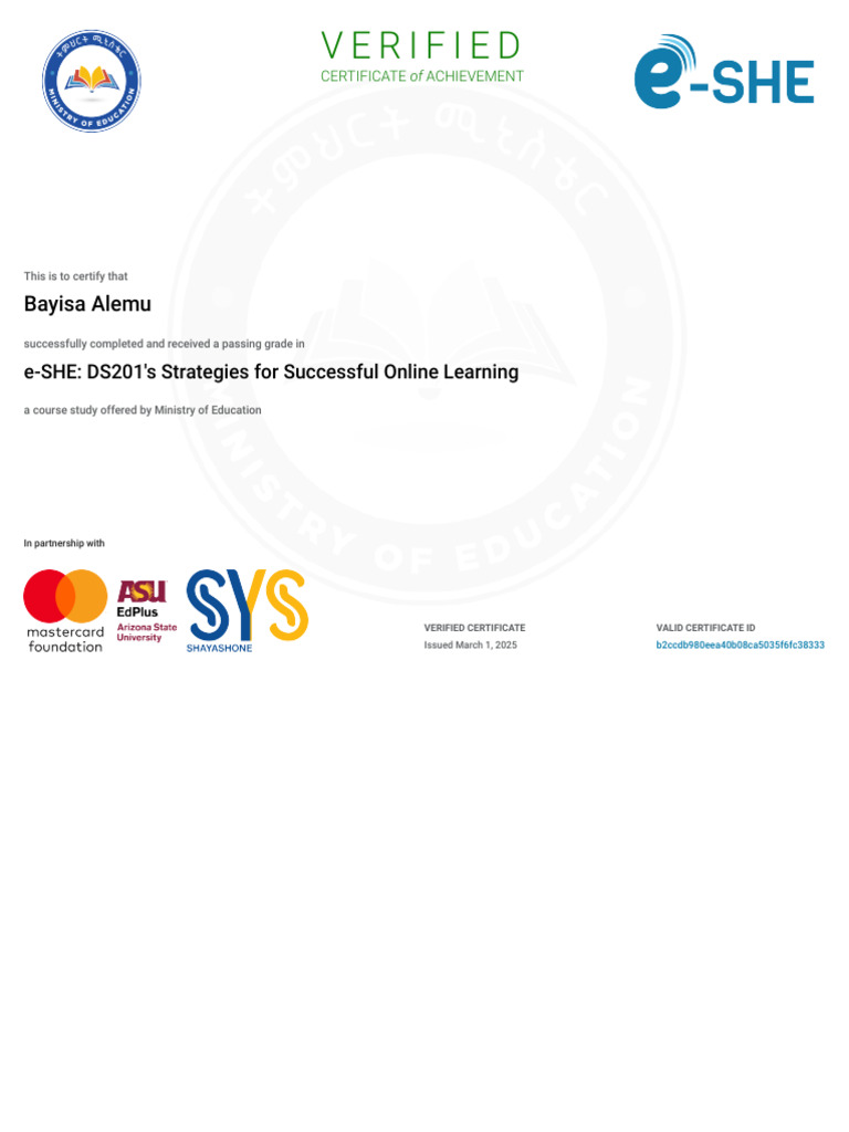 Certificate of Achievement for e-SHE Course | PDF