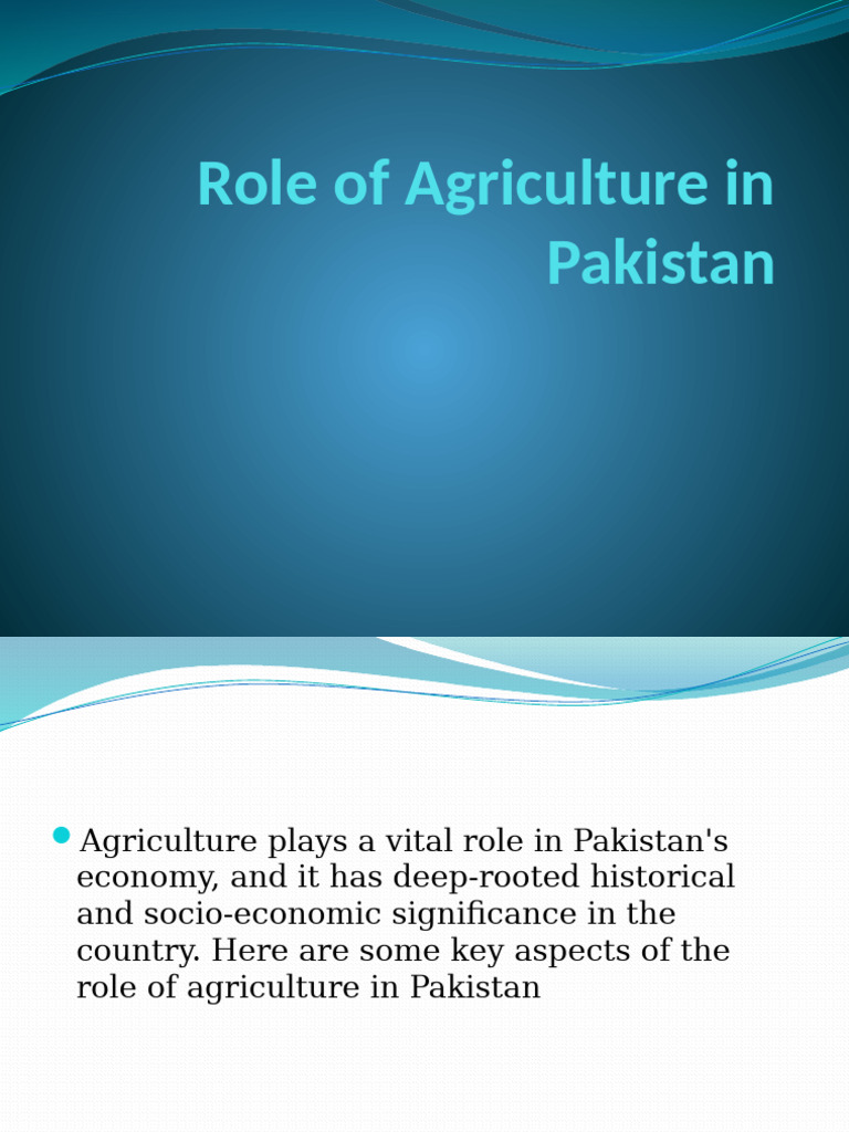 Importance of Agriculture in Pakistan | PDF | Agriculture | Pakistan