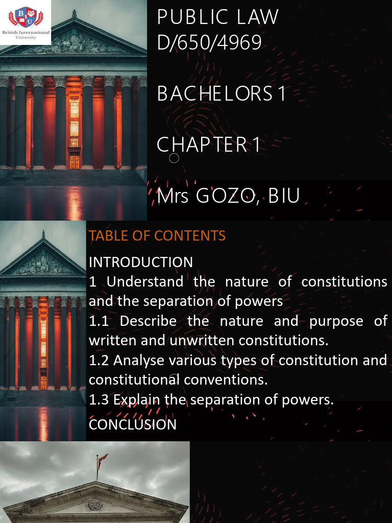Chapter 1 Understanding Contitutions and Separation of Powers ...