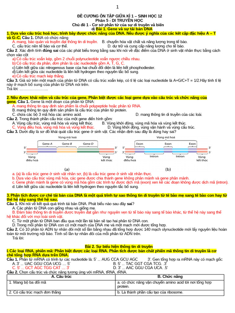 Dap An de Cuong On Tap Sinh 12 Giua Ki 1 2025 20261 | PDF