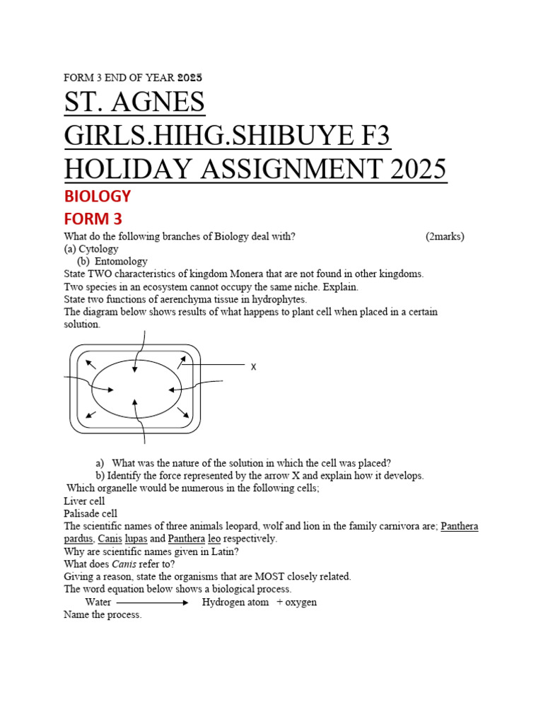 ST - Agnes SHIBUYE Form Three Holiday Assignment | PDF | Chemical Elements  | Sulfuric Acid