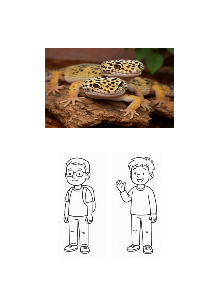 Geckos PictureBook UAE | PDF