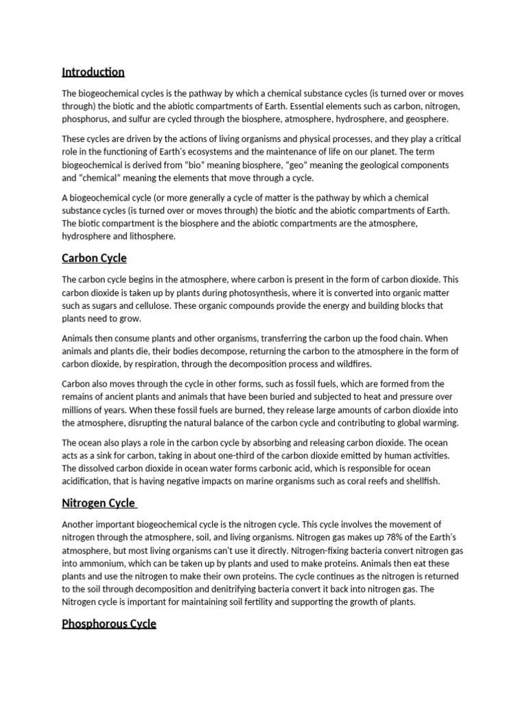 Understanding Biogeochemical Cycles | PDF | Ecosystem | Carbon Cycle