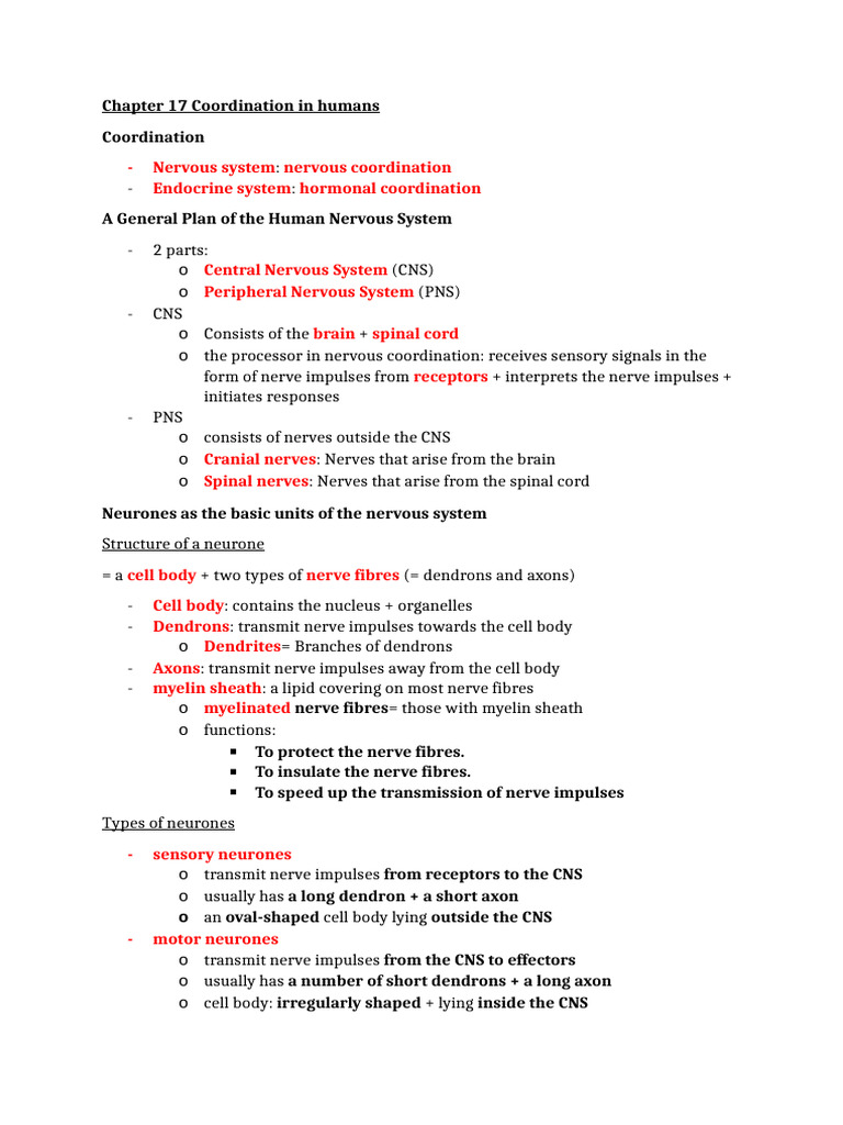 Human Nervous and Endocrine Systems Overview | PDF | Nerve | Nervous System