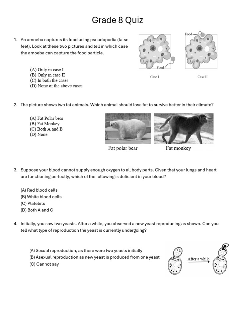 Grade - 8 - Answer Key | PDF | Reproduction | Blood