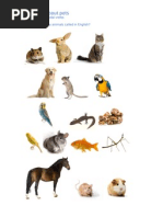 Let's Talk About Pets: Let's Practise Modal Verbs 1. What Are These Animals Called in English?