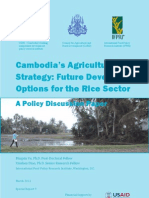 Cambodia's Agricultural Strategy: Future Development Options For The Rice Sector