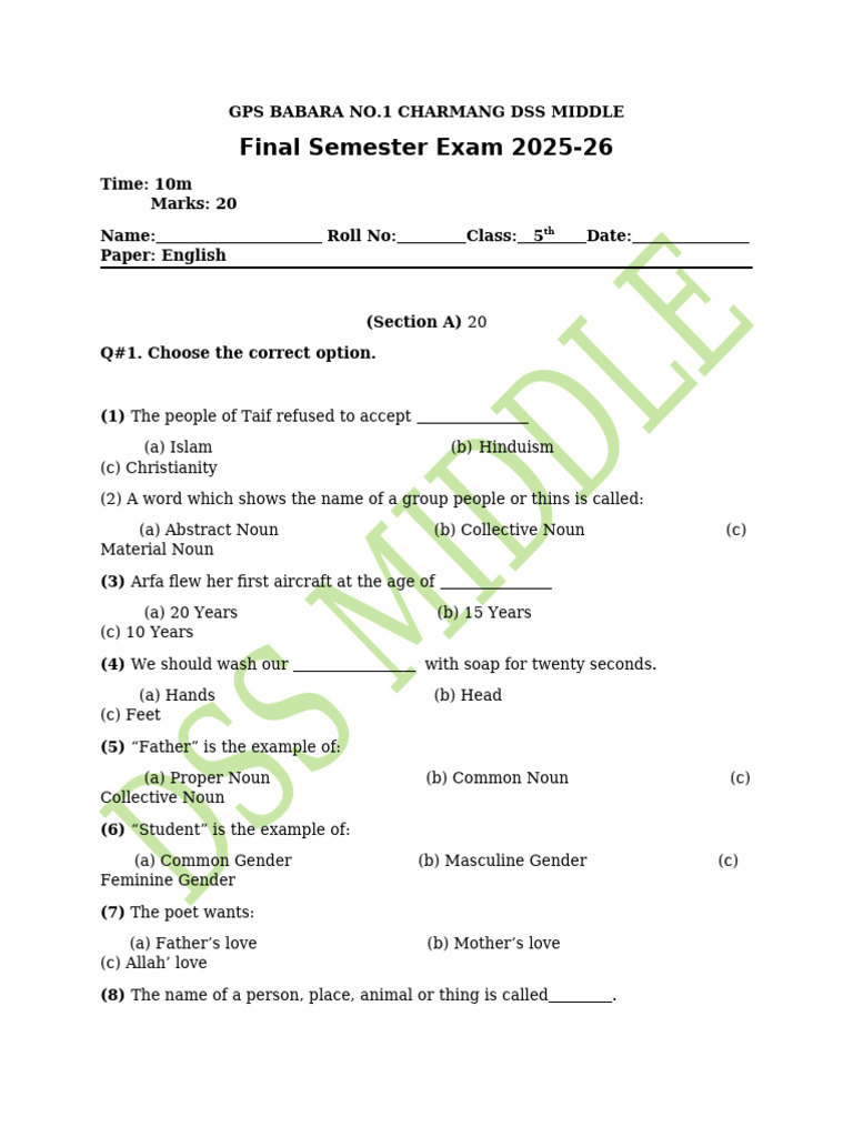 5th Grade English Exam Paper 2025-26 | PDF | Grammatical Gender | Noun