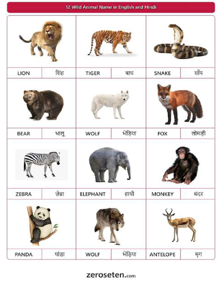 Domestic and Wild Animals | PDF