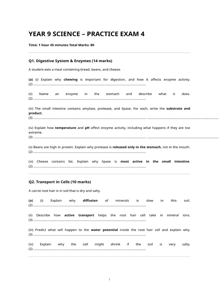Year 9 Science Practice Exam Guide | PDF | Digestion | Leaf