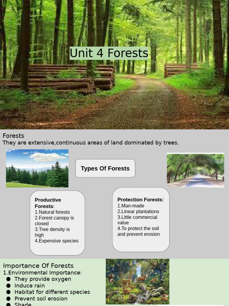 Types and Importance of Forests | PDF | Deforestation | Forests
