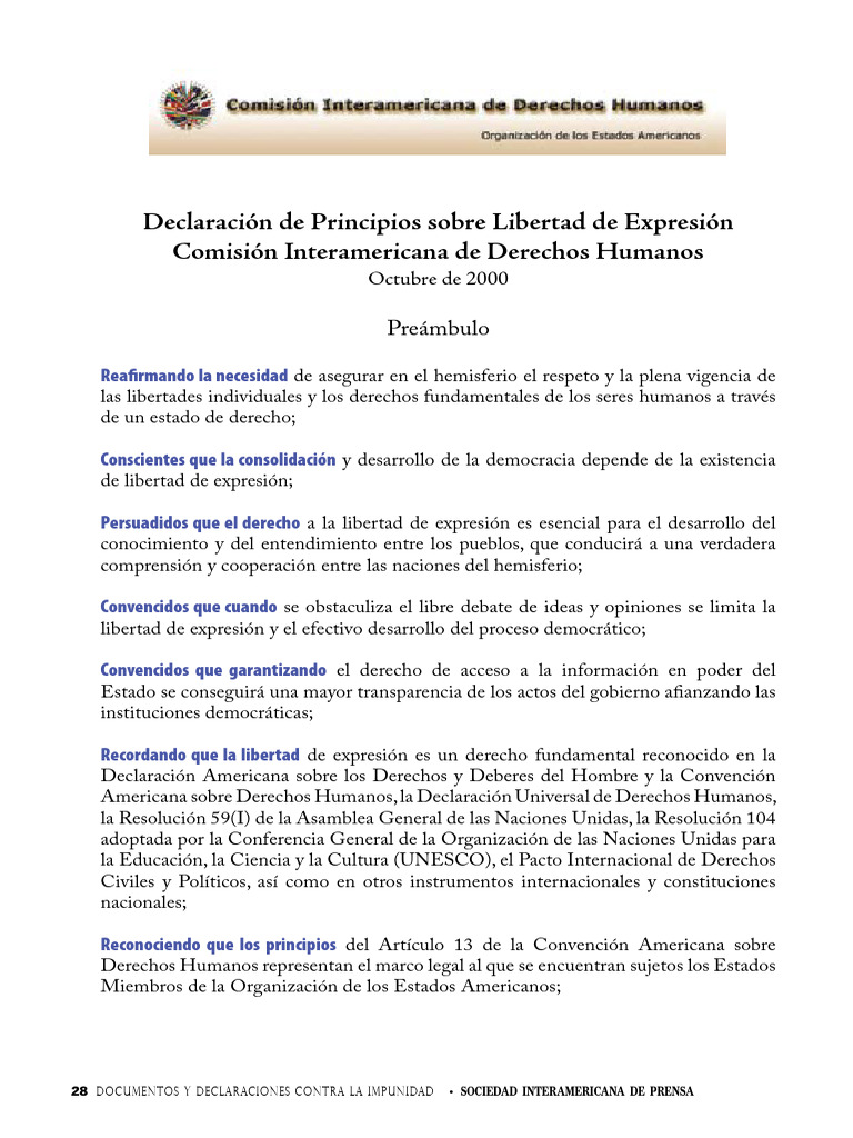 Declaracion de Principios Sobre La Libertad de Expresion | PDF ...