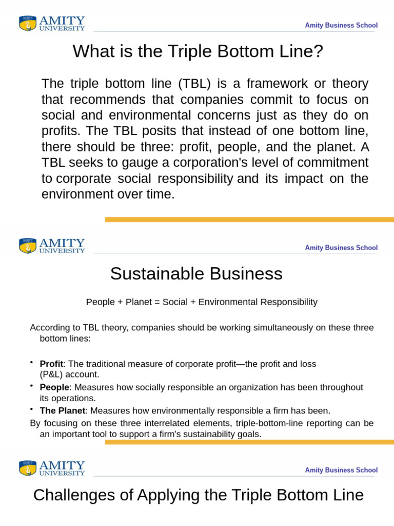 Triple Bottom Line 9p | PDF | Sustainability | Economies