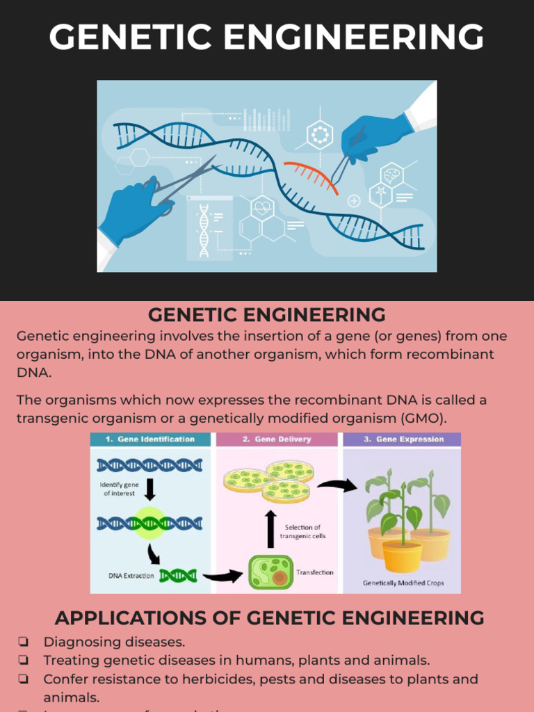 Overview of Genetic Engineering Techniques | PDF | Restriction Enzyme ...