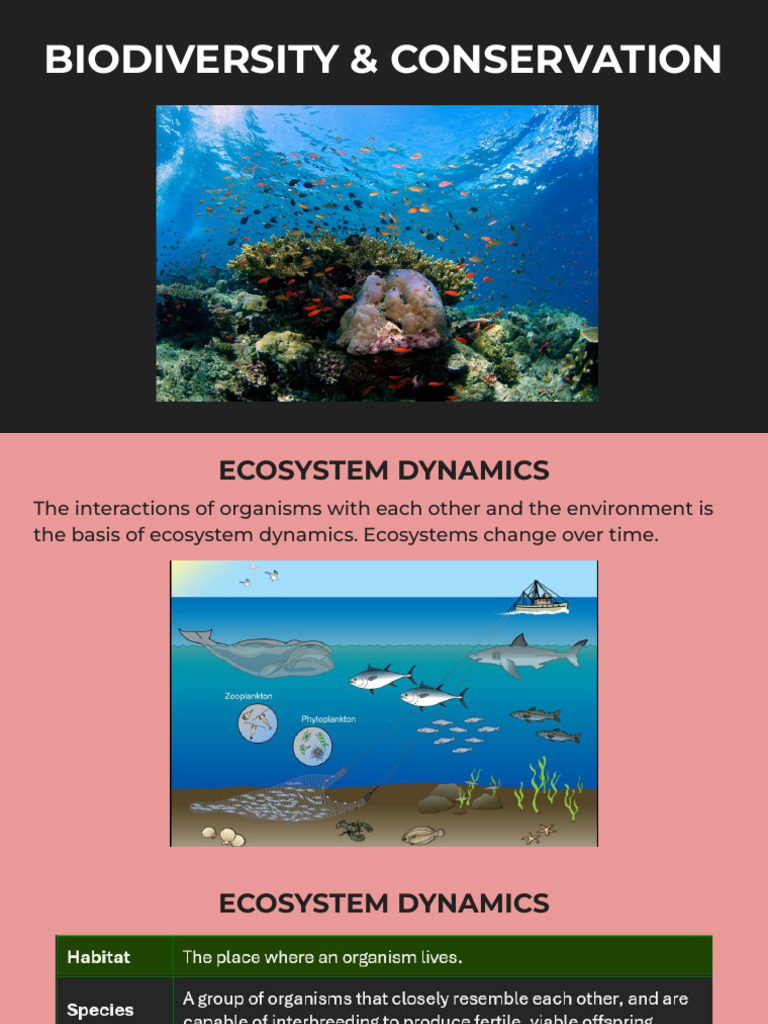 U2 m1 Biodiversity and Conservation | PDF | Biodiversity | Deforestation