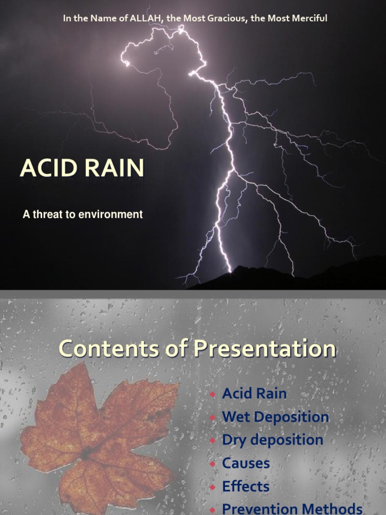 Understanding Acid Rain: Causes & Effects | PDF | Chemistry | Nature
