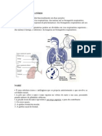 Estrutura e funções do aparelho respiratório