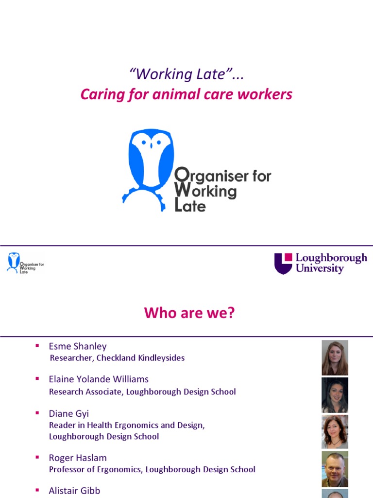 Ergonomic Solutions for Animal Care Workers | PDF | Survey Methodology ...