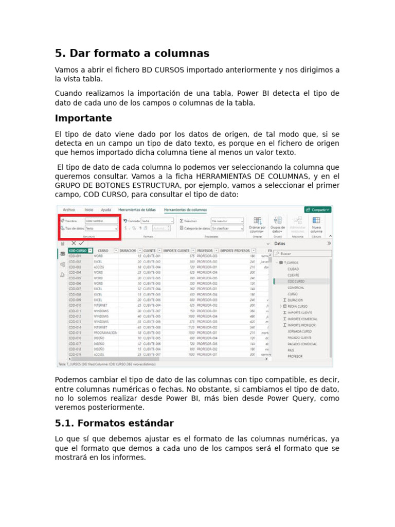 Formato de Columnas en Power BI | PDF | Datos | Informática