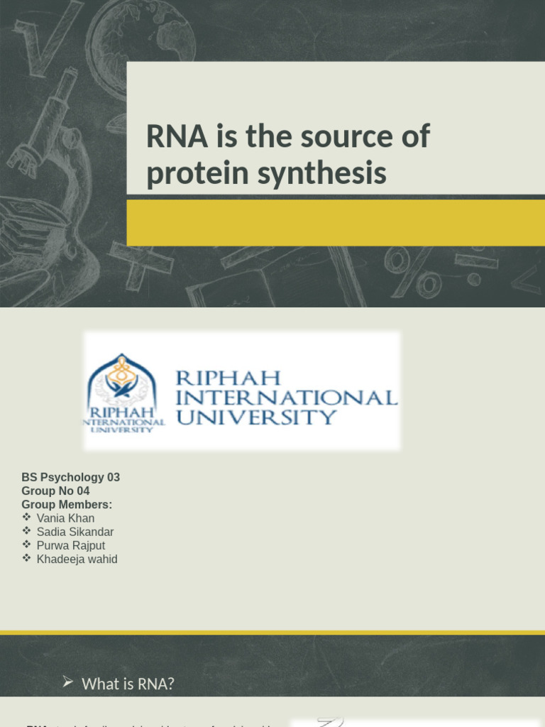 RNA and Protein Synthesis Explained | PDF