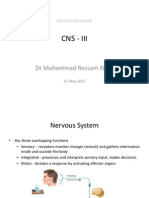 Cns - Iii: DR Muhammad Ressam Nazir