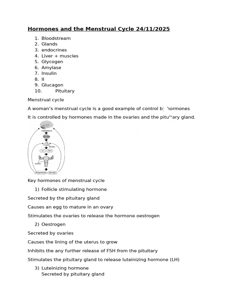 Hormones and The Menstrual Cycle | PDF
