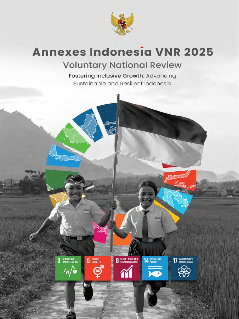 VNR 2025 Annexes | PDF | Disaster Risk Reduction | Economic Development