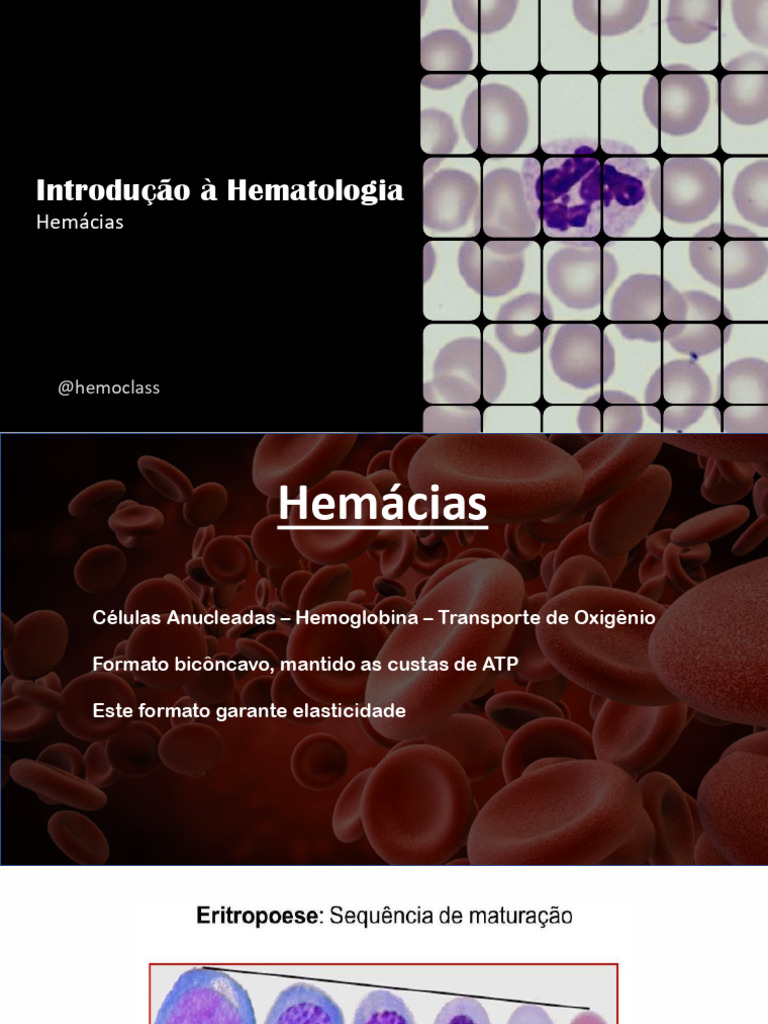 Hemácias: Estrutura e Alterações Morfológicas | PDF