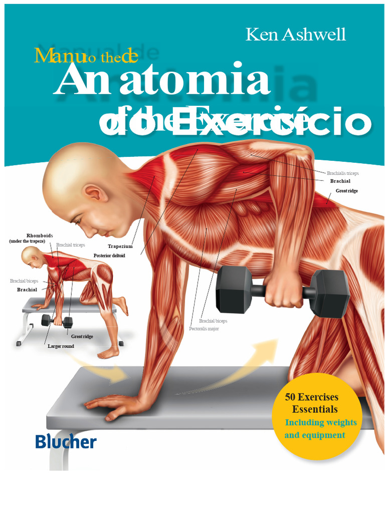 Comprehensive Guide to Muscle Anatomy and Exercises | PDF | Anatomical ...