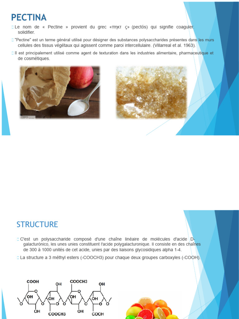 Pectine : Structure, Extraction et Usages | PDF