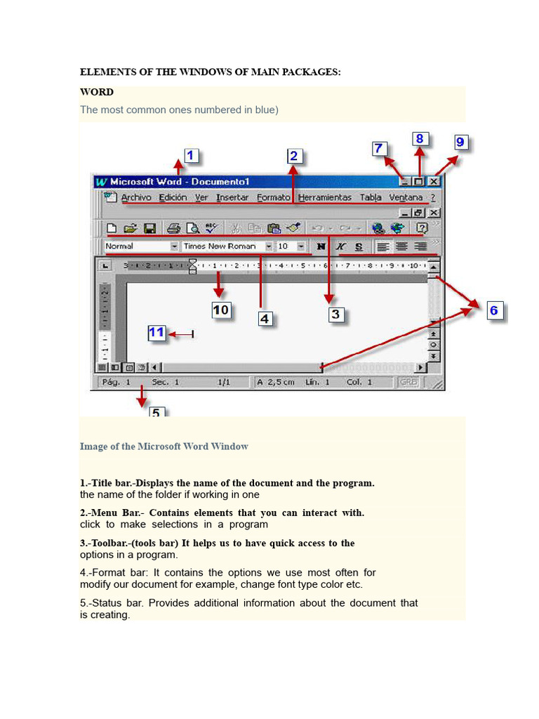 Essential Elements of Word and PowerPoint | PDF | Window (Computing ...