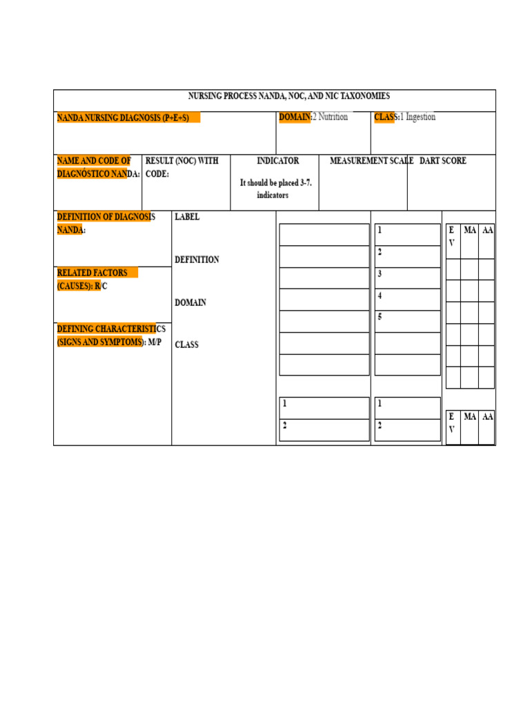 Format Nanda, Nic and Noc Care Plan | PDF