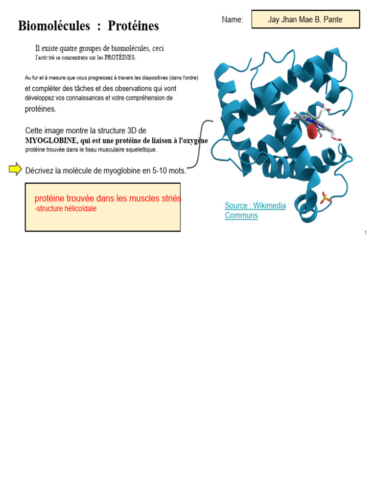 comprendre-les-prot-ines-et-acides-amin-s-pdf-structure-de-la