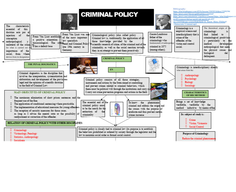 Understanding Criminal Policy and Criminology | PDF | Crimes | Crime ...