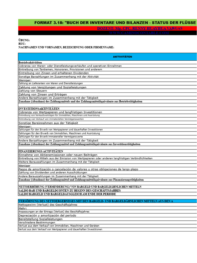 Format 3.18 - Buch Der Inventare Und Bilanzen - Kapitalflussrechnung | PDF