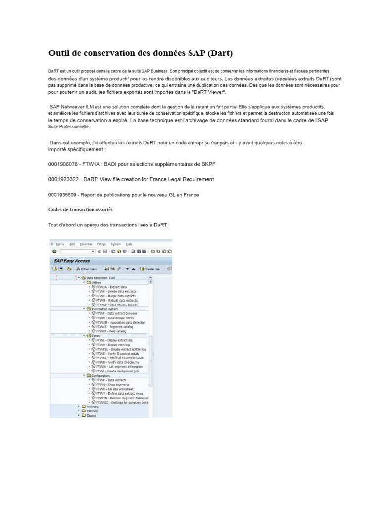 Guide sur l'outil DaRT de SAP Business | PDF | Bases de données ...