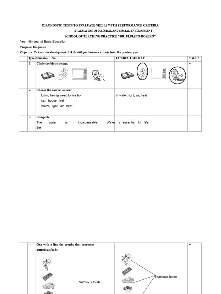 Diagnostic Tests for Basic Education Skills | PDF | Multiplication ...