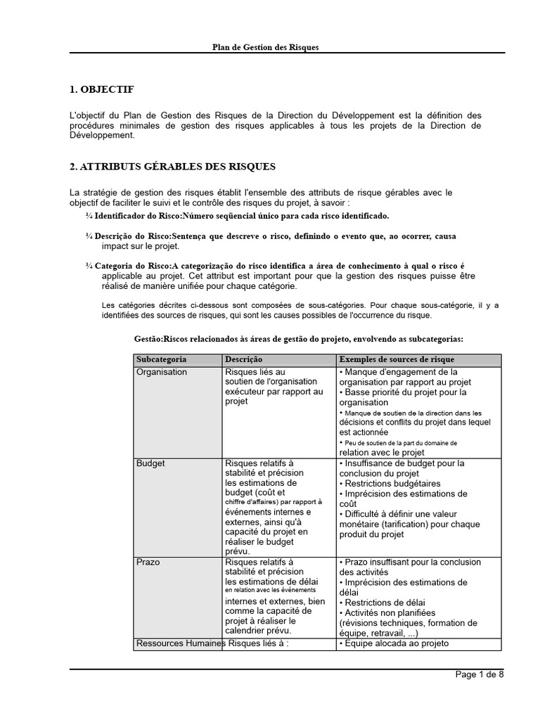 Plan de Gestion des Risques Projet | PDF | Risque | Gestion des risques