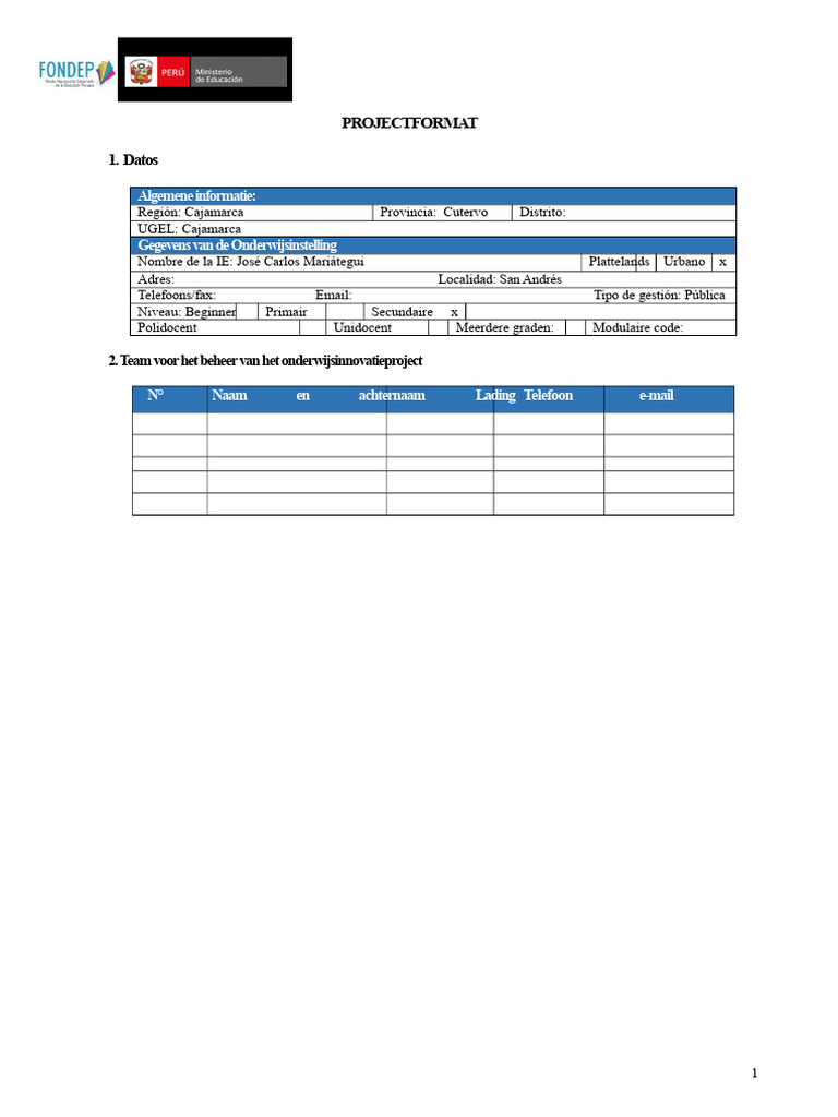 Project Format Fondep | PDF