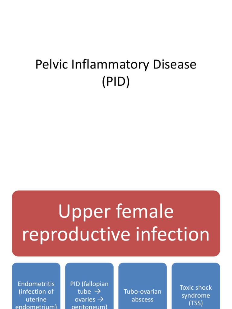 Overview of Pelvic Inflammatory Disease | PDF | Sexual Anatomy | Women ...