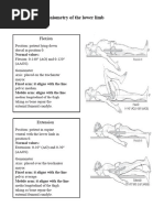 Lower Extremity Range of Motion Guide | PDF | Anatomical Terms Of ...