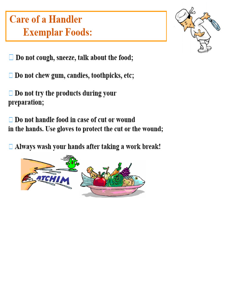 Food Handler Hygiene Guidelines | PDF