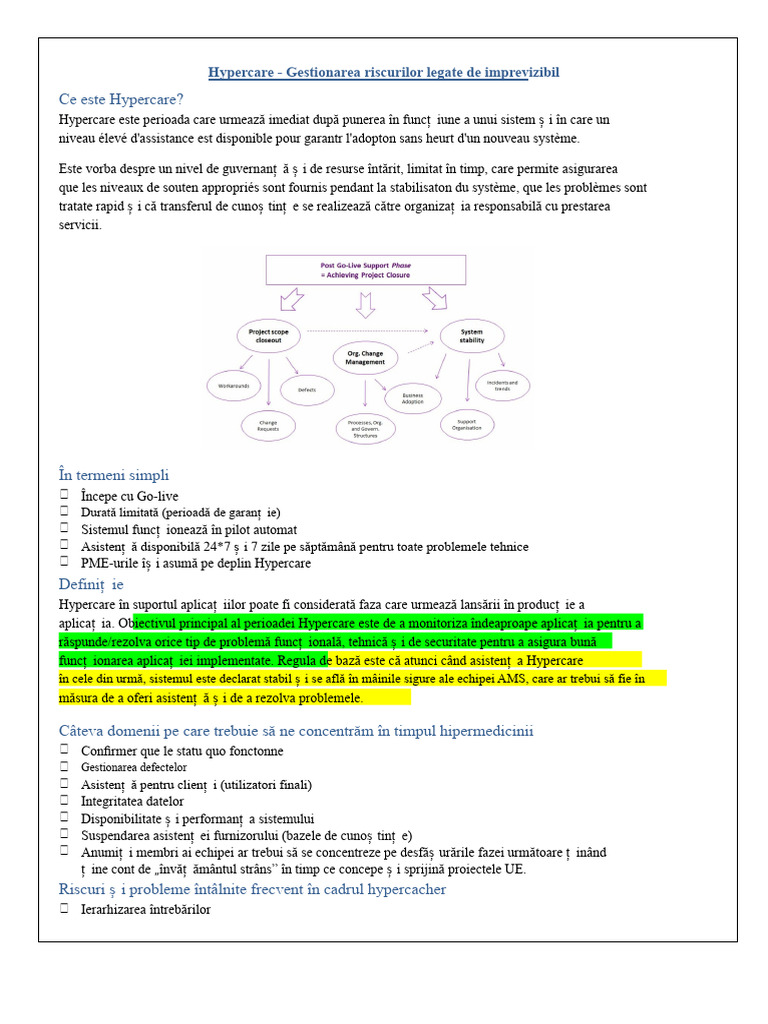 Abordare Hypercare v1 | PDF